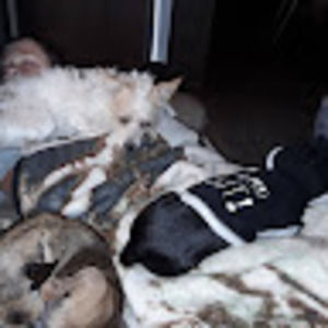 Meet your Posher, Jayden